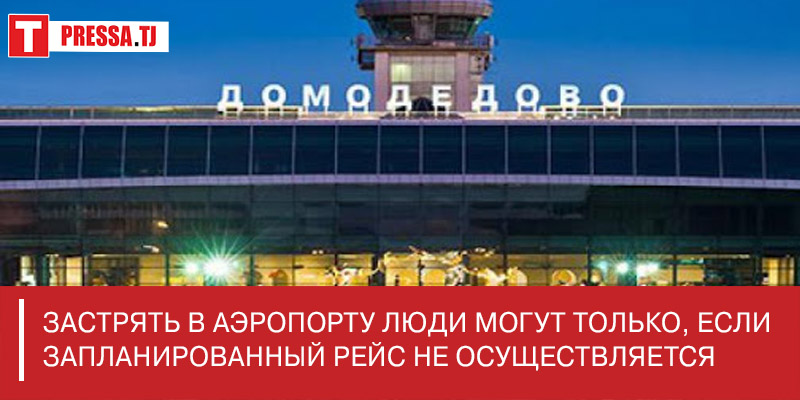 Мигрантов нет в аэропорту Домодедова