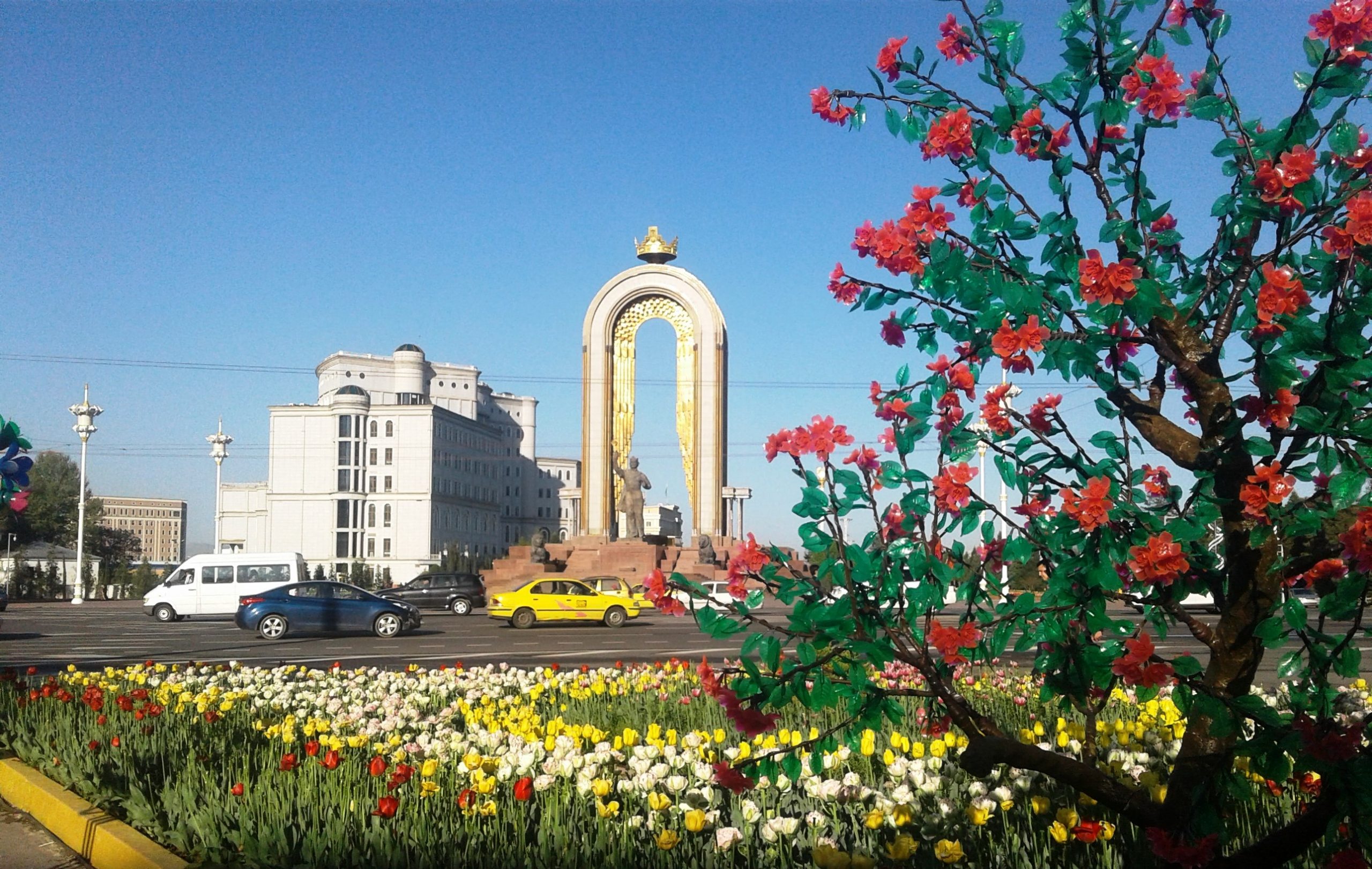 Таджикские цветы. Душанбе столица памятник Самани. Таджикистан Душанбе Исмоили Сомони.