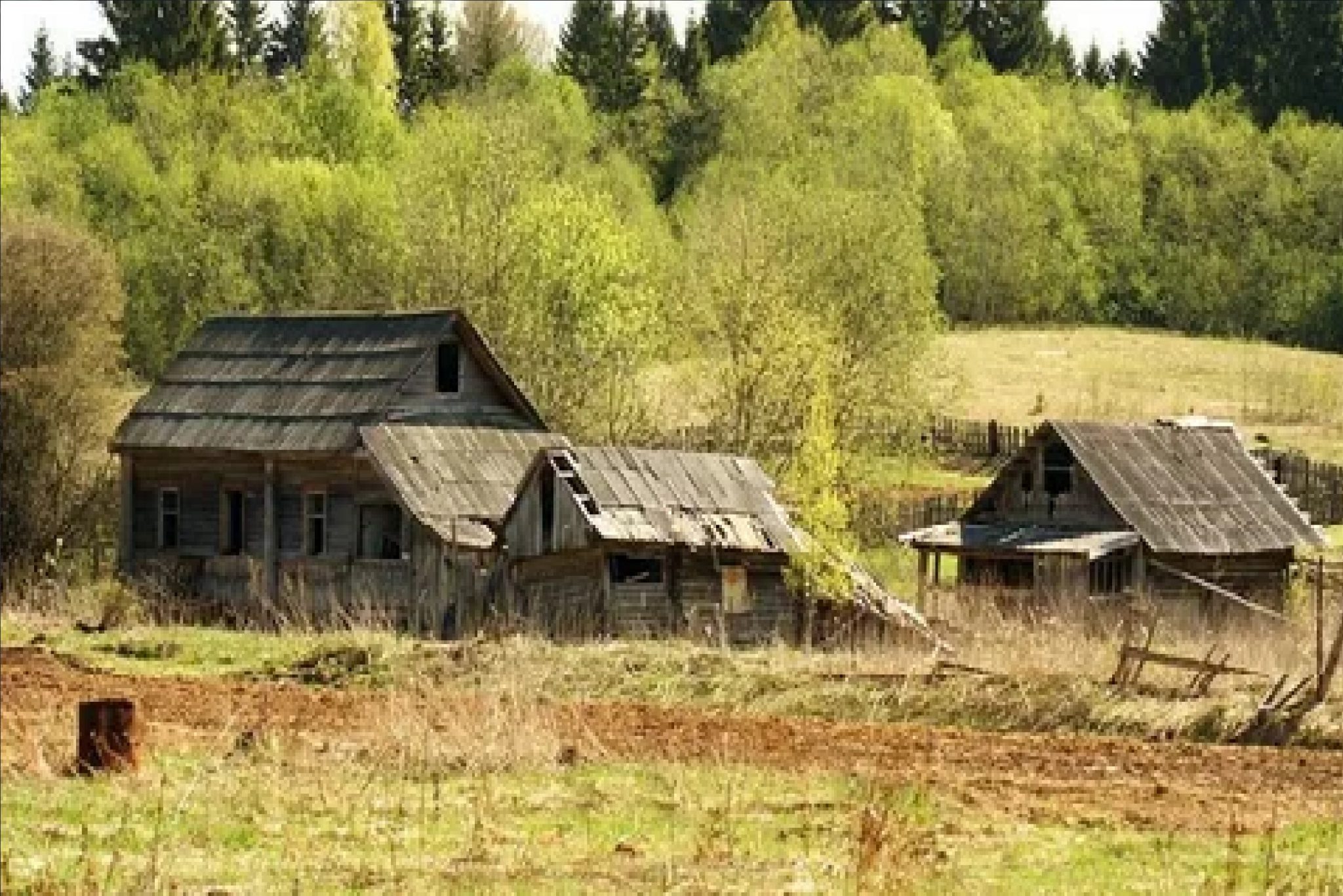 Заброшеные деревни Вологодской области