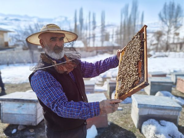 В ГБАО за 11 месяцев произведено 96 тонн мёда